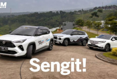 6 Pilihan Mobil Hybrid Murah dan Irit BBM Terbaik di Indonesia 2025, Mulai dari Rp 280 Juta!