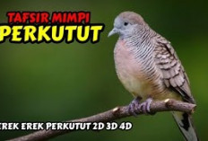 Siap-Siap Terkejut! Ini 5 Arti Mimpi Burung Perkutut yang Sering Dianggap Pertanda dari Alam Semesta