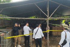 Tim Gabungan Polisi-TNI Grebek Gudang BBM Ilegal di Gelumbang dan Lembak