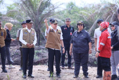 Pj Gubernur Agus Fatoni bersama Menteri LHK Tinjau Lokasi Karhutla di Desa Jungkal OKI