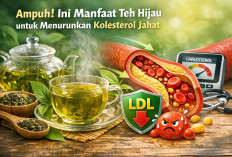 Ampuh! Ini Manfaat Teh Hijau untuk Menurunkan Kolesterol Jahat