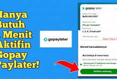 Gak Ribet! Begini Cara Aktivasi GoPay Later di Aplikasi Gojek, Mudah ransaksi Kapan Saja Dimana Saja