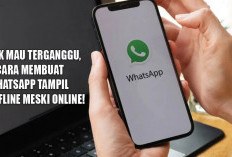 Tak Mau Terganggu, 5 Cara Membuat WhatsApp Tampil Offline Meski Online!
