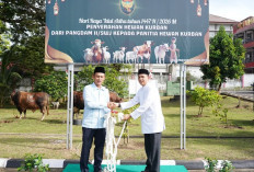 Penyerahan Hewan Kurban ke Bintaljarahdam II Sriwijaya, Ini Kata Pangdam