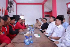 Hasil Survei PDI P Keluar untuk Bacalon Bupati di Pilkada Ogan Ilir, Ini Hasilnya