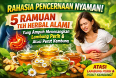 Rahasia Pencernaan Nyaman! 5 Ramuan Teh Herbal Alami yang Ampuh Menenangkan Lambung dan Atasi Perut Kembung