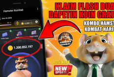 Klaim Flash Buat Dapetin Koin Gratis! Kombo Hamster Kombat hari ini