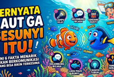 Ternyata Laut Ga Sesunyi Itu! Ini 6 Fakta Menarik Ikan Berkomunikasi yang Bisa Bikin Terkesima 