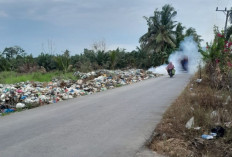 Miris! Sampah Bertumpuk di Sepanjang Jalan Desa Karang Agung Hingga Keluarkan Bau Menyengat