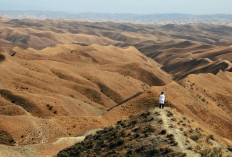 Makna Maulid Nabi Muhammad SAW Bagi Umat Islam, Yuk Simak?