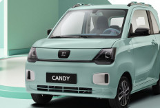 DFSK Mini EV: Lucu, Irit dan Ramah Lingkungan Sangat Cocok untuk Anak Muda Sekarang!