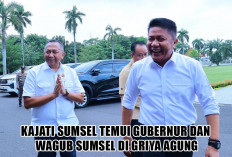 Jangan Gagal Paham Ya! Kajati Sumsel Temui Gubernur Herman Deru Terkait PSN Tanjung Api-Api Karena...