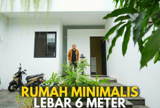 Desain Rumah Minimalis yang Bikin Tenang: Rahasia Menciptakan Hunian Anti-Stres
