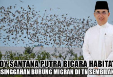 Eddy Santana Putra Bicara Habitat Persinggahan Burung Migran di TN Sembilang, Milenial Pasti Suka!