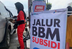 Deretan Mobil Ini Masih Bisa Beli Pertalite