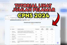 Segera Pantau Pesaingmu! Gini Cara Melihat Jumlah Pelamar CPNS 2024