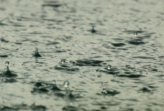 Prakiraan Cuaca di Palembang Per Kecamatan Minggu 31 Agustus 2025, Turun Hujan Dengan Intensitas Rendah