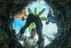 Perkuat Manajemen Risiko, PLN Sukses Turunkan ESG Risk Rating ke Medium Level