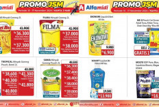 Banjir Bahagia! Katalog Promo JSM Alfamidi 15 November 2024, Sania Minyak Goreng Pouch 2L Rp36.300