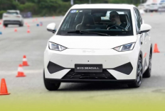 BYD Seagull Ganti Nama Jadi Atto 1 di GIIAS 2025, Segini Harganya