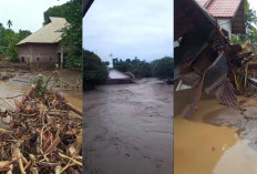 UPDATE Banjir di Aceh! 70 Warga Terjebak di SDIT An-Nur Desa Pante Geulima, Stok Makanan Menipis