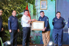 Ratu Dewa Toreh Prestasi, Raih 3 Penghargaan Lingkungan dari Gubernur Sumsel