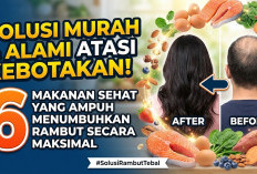 Solusi Murah dan Alami Atasi Kebotakan! Ini 6 Makanan Sehat yang Ampuh Menumbuhkan Rambut Secara Maksimal