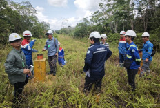 PLN UIP Sumbagsel Pastikan Crossing Pipa Gas Berjalan Aman, Kelancaran SUTET 500 kV Muara Enim-New Duri