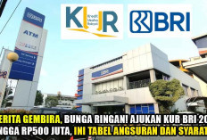 Berita Gembira, Bunga Ringan! Ajukan KUR BRI 2024 Hingga Rp500 Juta, Ini Tabel Angsuran dan Syaratnya