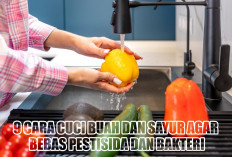 Jangan Asal Bilas! Ini 9 Cara Cuci Buah dan Sayur agar Bebas Pestisida dan Bakteri