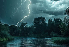 Palembang Hujan Petir Malam Hari, Prakiraan Cuaca di Sumsel Sabtu 29 November 2025