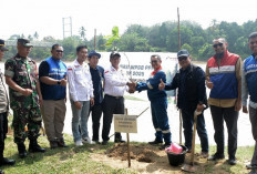 Ternyata Ini Tujuan Program Penghijauan Hulu Migas PEP Limau