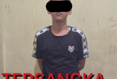 Polisi Ringkus Pelaku Penipuan dan Penggelapan, Ini Wajahnya