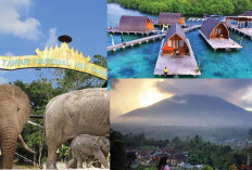Menyelam dalam Keajaiban Alam, 3 Destinasi Wisata yang Wajib Anda Kunjungi Jika Ke Lampung