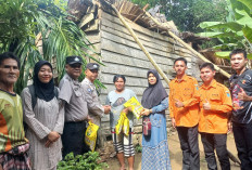 Rumah Ambruk Tertimpa Pohon di Ogan Ilir, Lihat Gerak Cepat Polsek Tanjung Raja