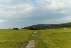 Awal Pekan Makin Cerah, Prakiraan Cuaca di Sumsel Senin 1 Desember 2025