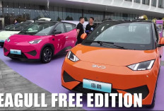 Seagull Free Edition: Mobil Listrik Stylish dengan Performa Gahar, Torsi 135 Nm dan Jarak Tempuh 405 KM!