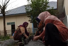 TP PKK Mulak Ulu Lahat Manfaat Perkarangan Tanam Sayuran, Ini Tujuannya