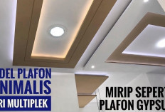 8 Ide dan Model Plafon untuk Rumah Minimalis Modern, Siap-siap Rumahmu Disangka Hotel Bintang Lima