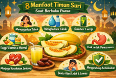 Pantas Jadi Rebutan! Ternyata Ini 8 Manfaat Timun Suri Saat Berbuka Puasa
