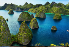 5 Spot Terbaik Wisata Pulau Raja Ampat Yang Wajib Dikunjungi, Miliki Surga Bawah Laut Tercantik Di Dunia