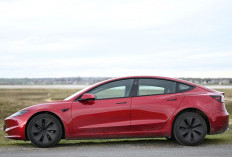 Panduan Lengkap Beli Mobil Listrik Bekas, Jangan Sampai Salah Pilih