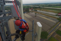 XLSMART Sukses Layani 140 Juta Pemudik, Trafik WhatsApp Naik hingga 64 Persen