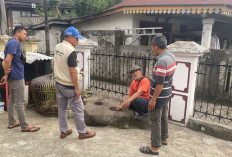 GOKIL! Tengah Kota Lahat Ada Situs Megalitikum Loh, Catat Lokasinya