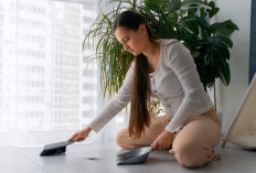 Sering Dibersihkan, Kok Rumah Tetap Berdebu? Ini Penyebabnya