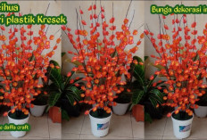 Bawa Hoki dan Energi Positif ke Rumah! 5 Tanaman Hias Khas Imlek yang Wajib Ada Saat Perayaan Tahun Baru Cina