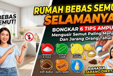 Rumah Bebas Semut Selamanya! Bongkar 6 Tips Ampuh Mengusir Semut yang Paling Manjur dan Jarang Orang Tahu