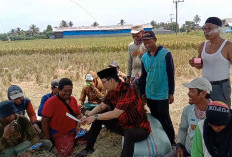 Berharap Pupuk Tak Alami Kelangkaan Lagi, Petani Siap Menangkan Fery-Herly di Pilkada OKU Timur