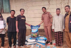 HEBOH! Petani Lahat Banjir Bantuan Benih Jagung Hibrida dari Dinas TPHP Lahat, Panen Berlimpah!