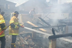 Amukan Si Jago Merah di Jalan Silaberanti 7, Ini Jumlah Rumah Terbakar dan Terdampak